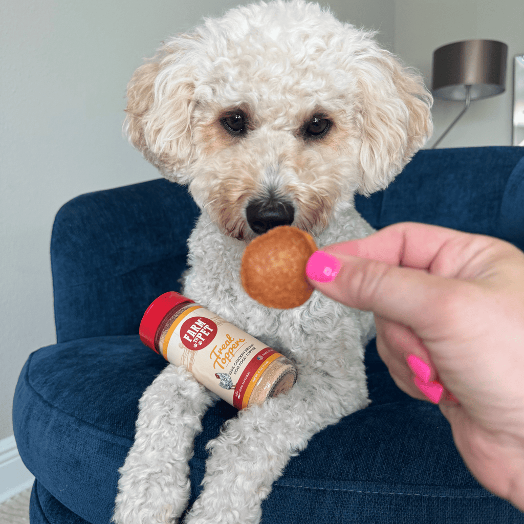 Treat Topper Chicken Pet Food Topper | Healthy Meal Supplement for Pets