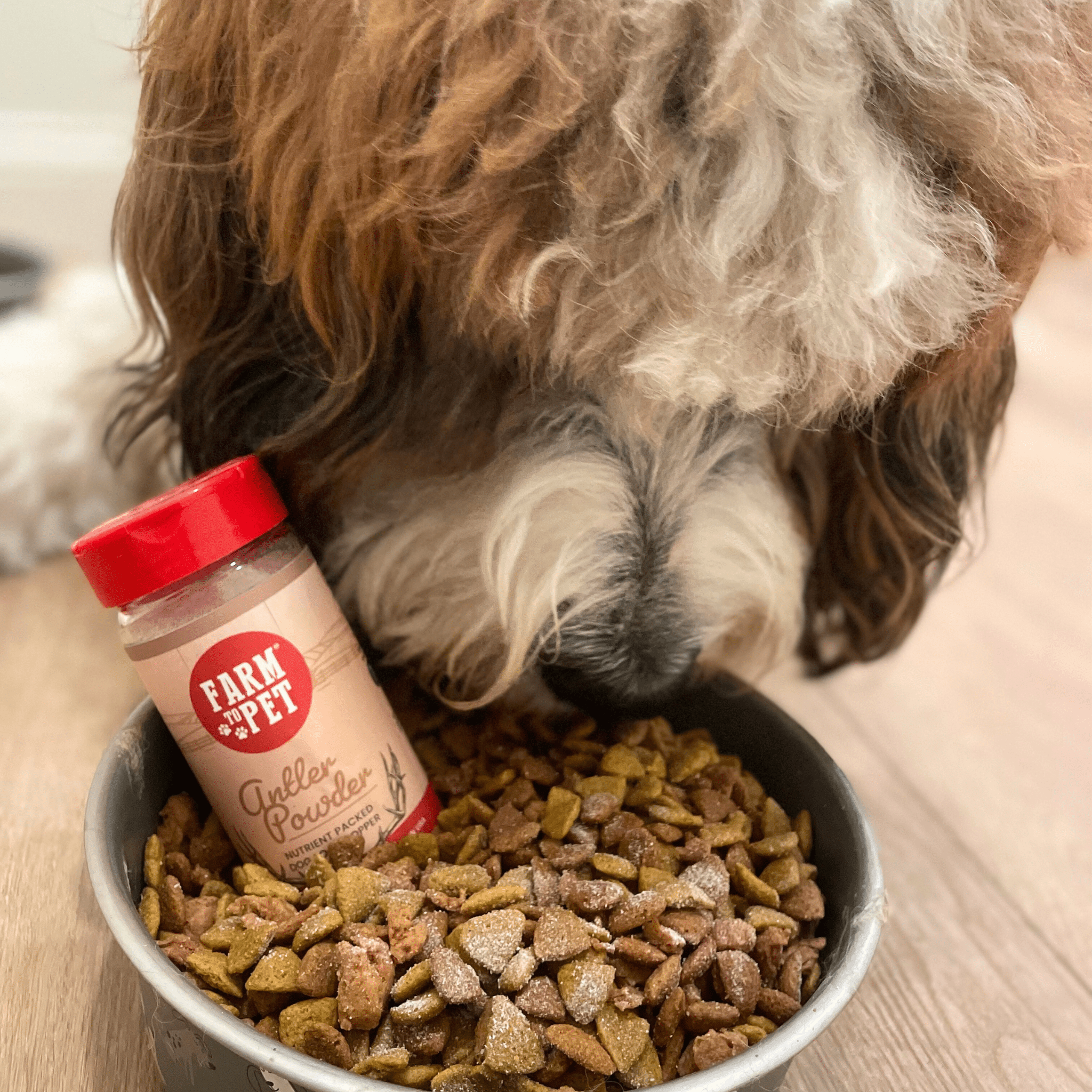 Treat Topper Antler Powder Pet Food Topper | Nutritional Supplement for Dogs and Cats