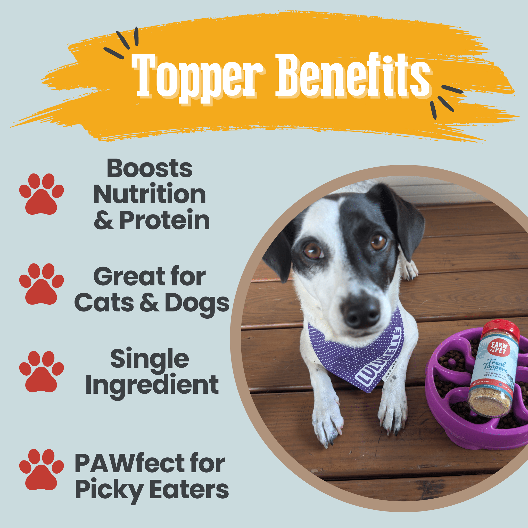 Treat Topper Fish Pet Food Topper | Low-Fat Meal Topper for Pets