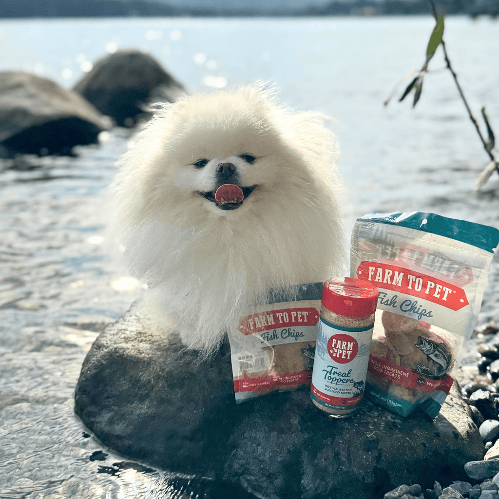 Treat Topper Fish Pet Food Topper | Low-Fat Meal Topper for Pets