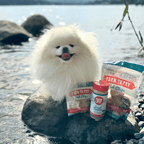 Treat Topper Fish Pet Food Topper | Low-Fat Meal Topper for Pets