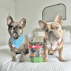 Premios Para Perros Fiesta Pack | Variety Treat Bundle