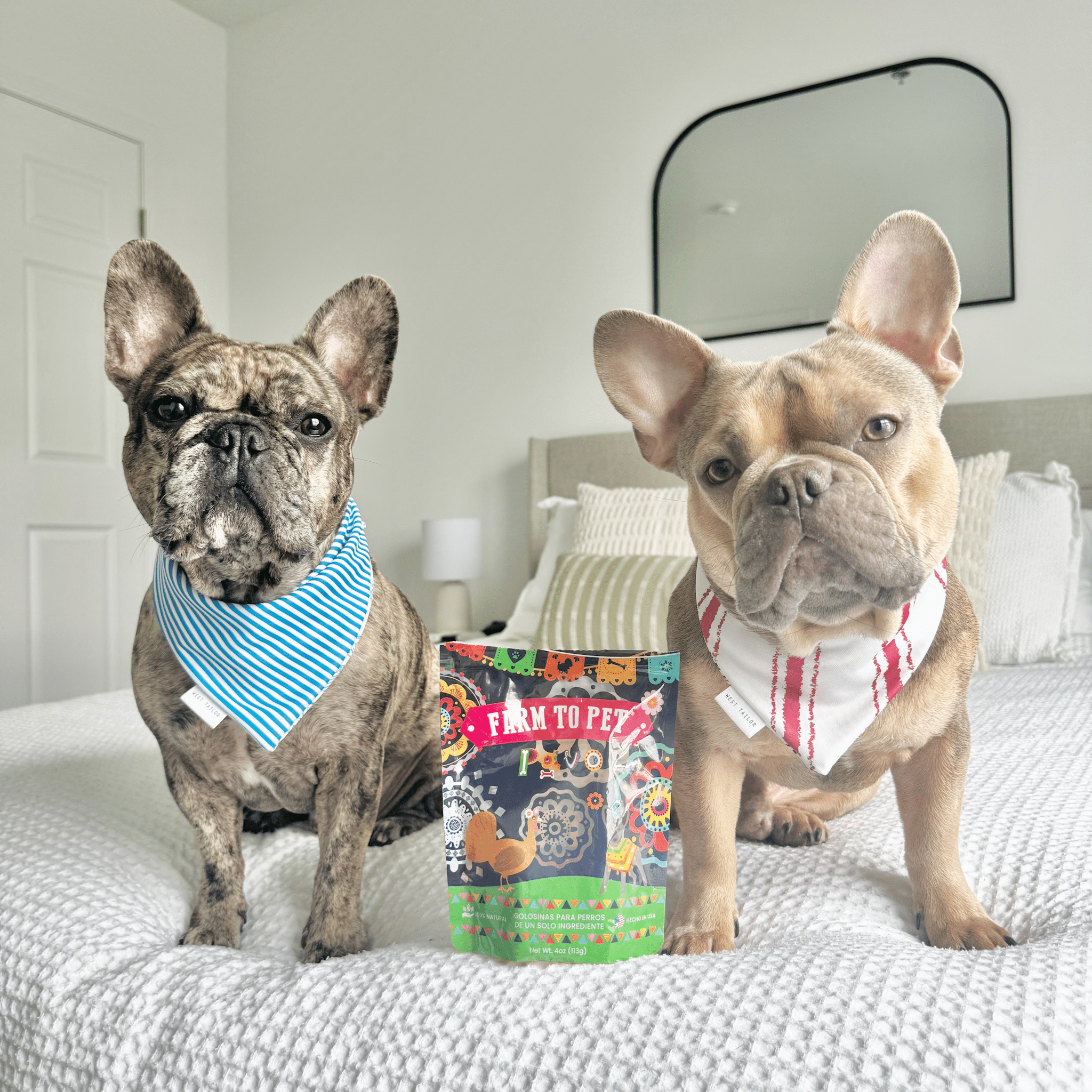 Premios Para Perros Fiesta Pack | Variety Treat Bundle