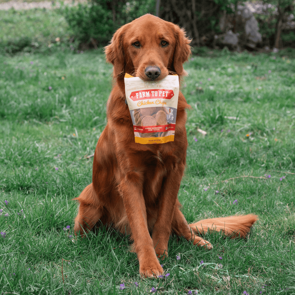 Chicken Chips | All-Natural Single-Ingredient Treats
