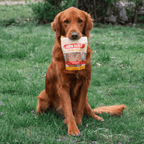 Chicken Chips | All-Natural Single-Ingredient Treats