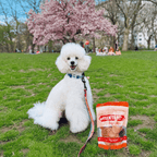 Turkey Chips for Pets | All-Natural Single-Ingredient Healthy Pet Treats