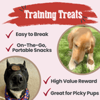 Beef Chips Pet Treats | Single-Ingredient Healthy Treats for Pets