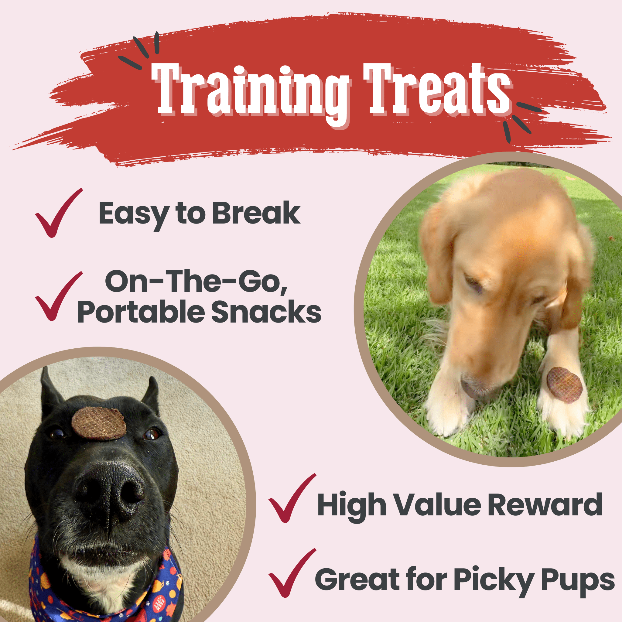 Beef Chips Pet Treats | Single-Ingredient Healthy Treats for Pets