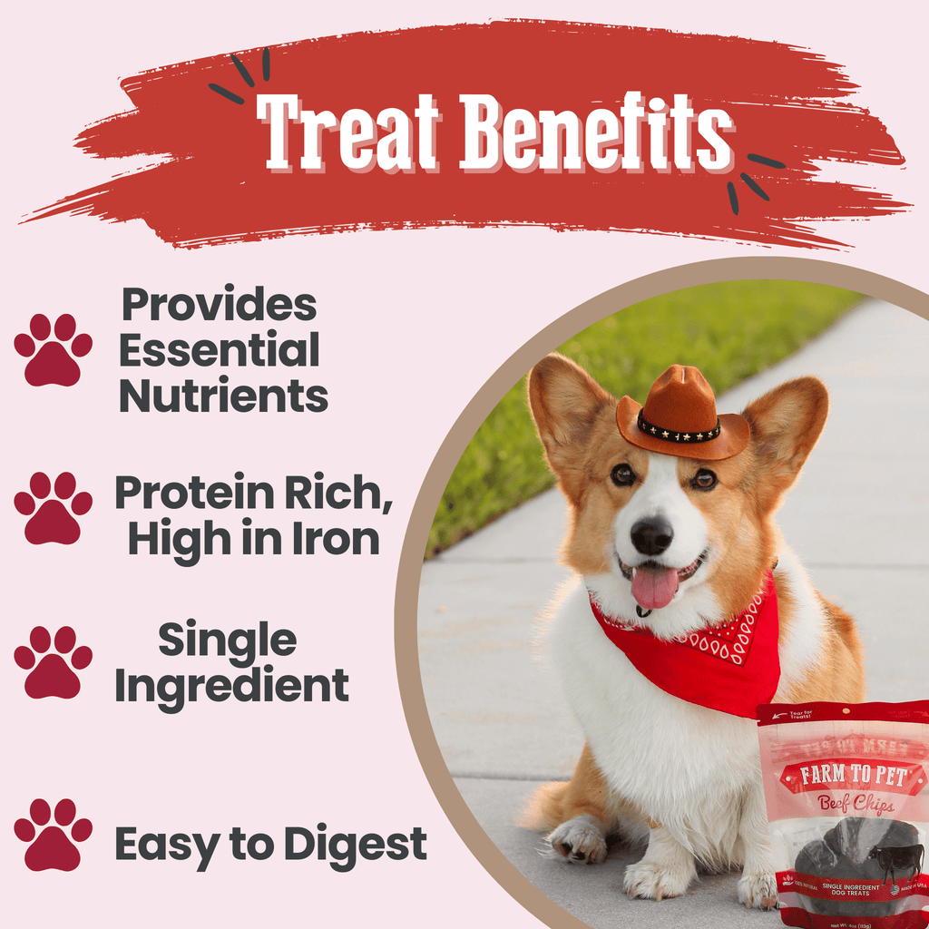 Beef Chips Pet Treats | Single-Ingredient Healthy Treats for Pets