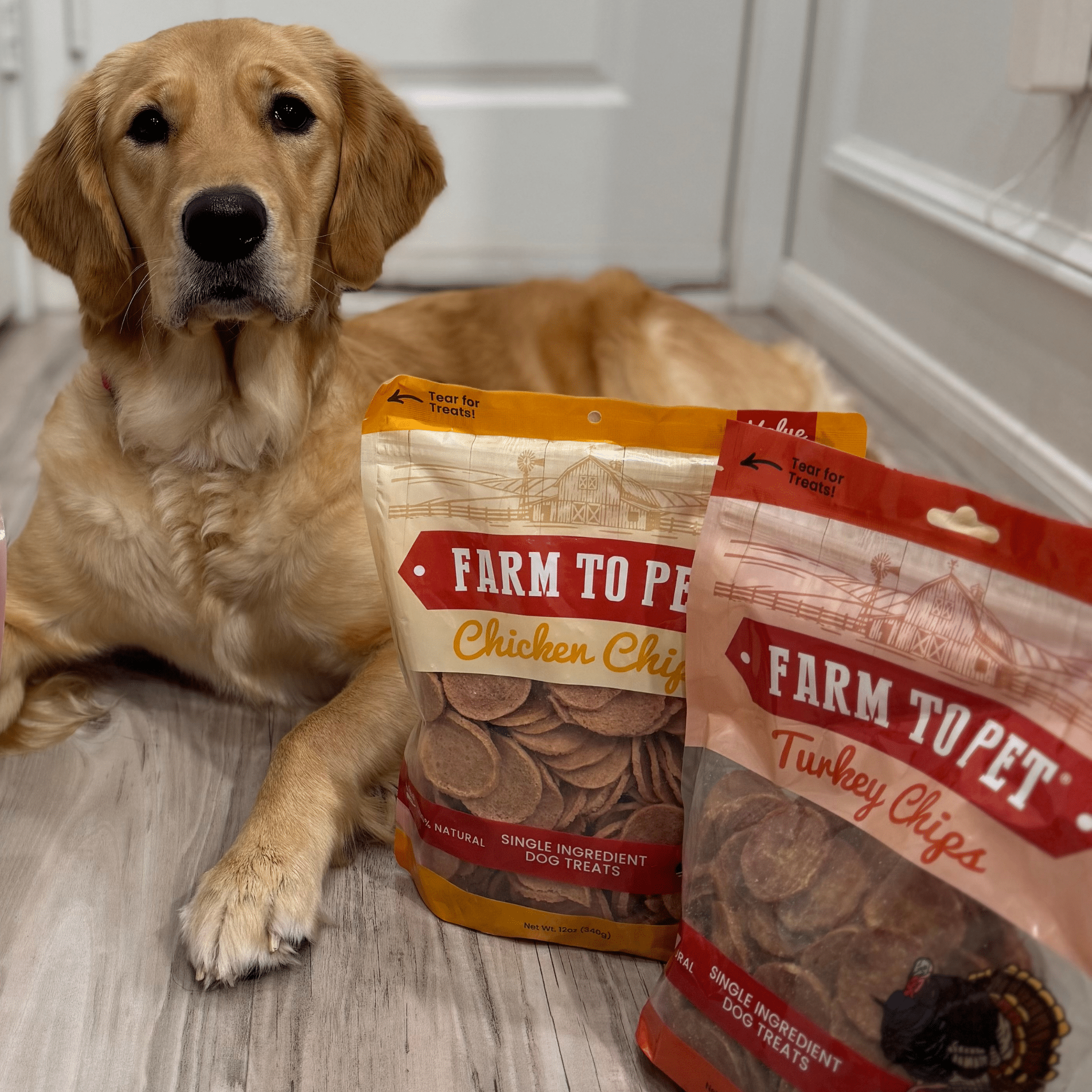 Turkey & Chicken Chip Pet Treat Duo | Single-Ingredient Poultry Treats