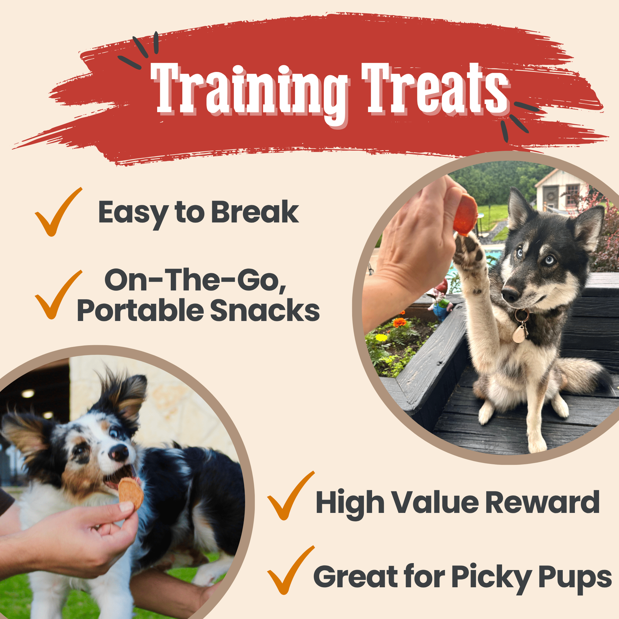 Turkey & Chicken Chip Pet Treat Duo | Single-Ingredient Poultry Treats