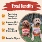 Turkey & Chicken Chip Pet Treat Duo | Single-Ingredient Poultry Treats