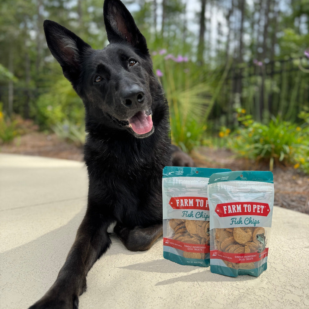 Fish Chips | Wild-Caught Fish Treats