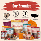 Turkey & Chicken Chip Pet Treat Duo | Single-Ingredient Poultry Treats
