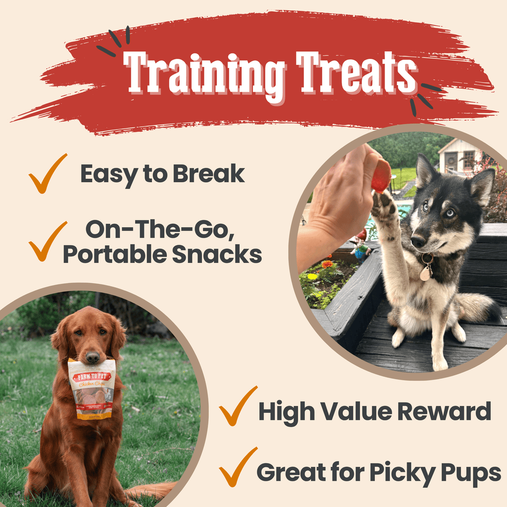 Turkey & Chicken Chip Pet Treat Duo | Single-Ingredient Poultry Treats