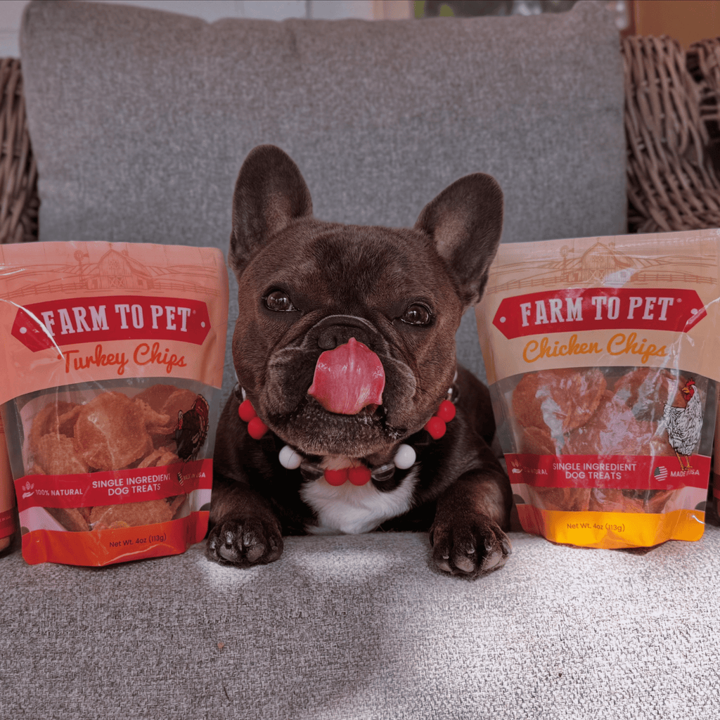 Turkey & Chicken Chip Pet Treat Duo | Single-Ingredient Poultry Treats
