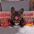 Turkey & Chicken Chip Pet Treat Duo | Single-Ingredient Poultry Treats