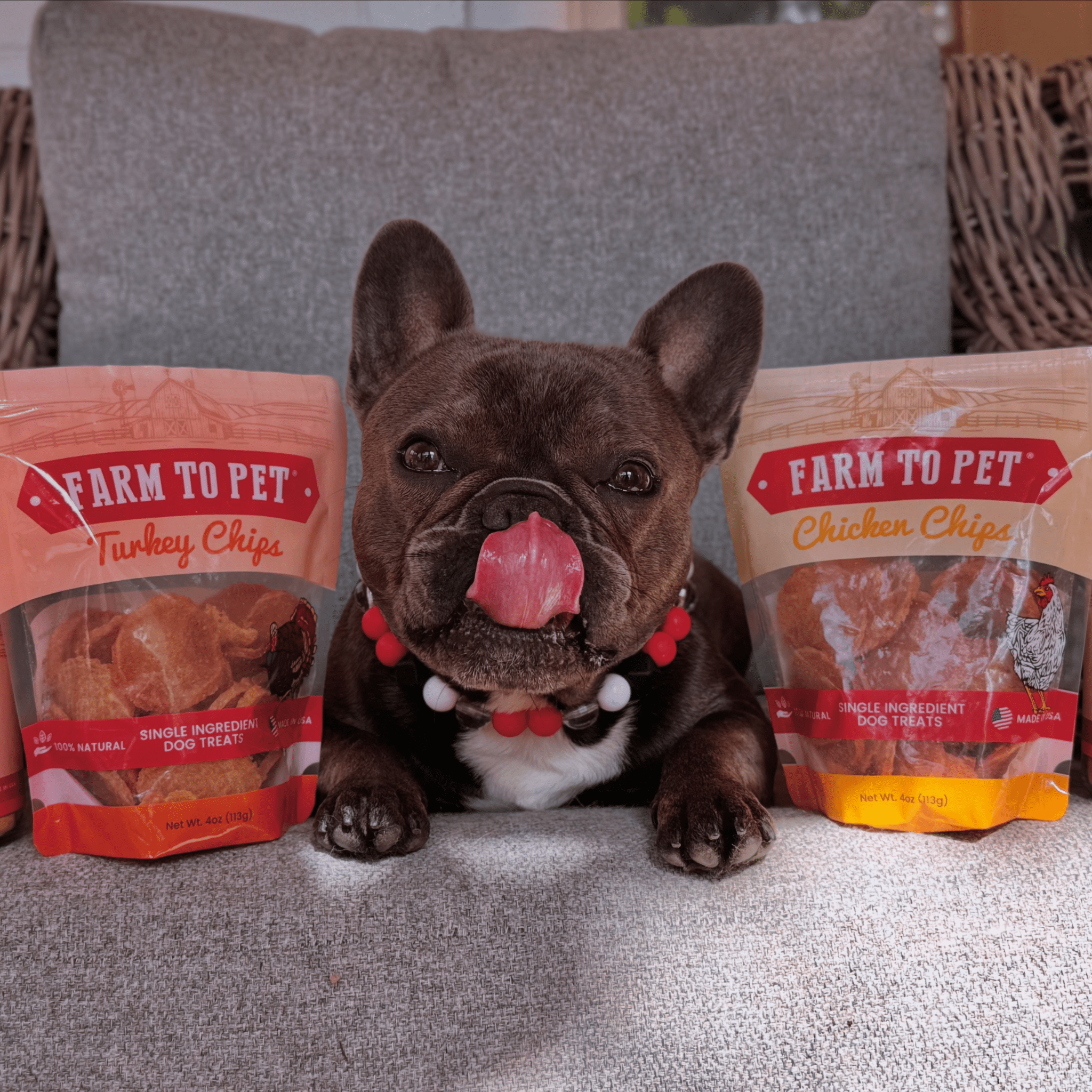 Turkey & Chicken Chip Pet Treat Duo | Single-Ingredient Poultry Treats