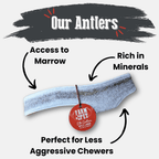 Elk Antler Dog Chews | All-Natural Whole and Split Elk Antler Chews for Dogs