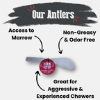Reindeer Antler Dog Chews | Organic Chews for Dogs
