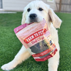 Beef Chips Pet Treats | Single-Ingredient Healthy Treats for Pets