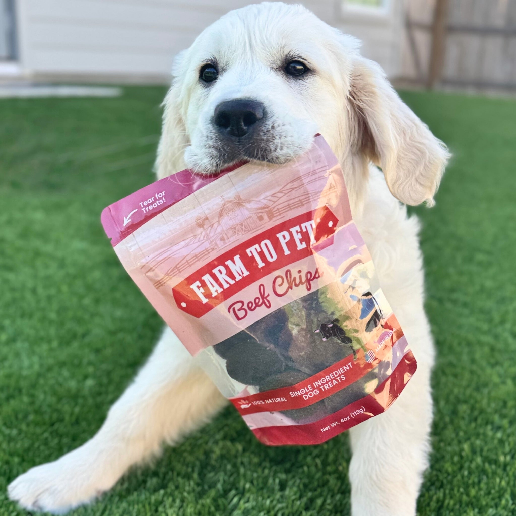 Beef Chips Pet Treats | Single-Ingredient Healthy Treats for Pets