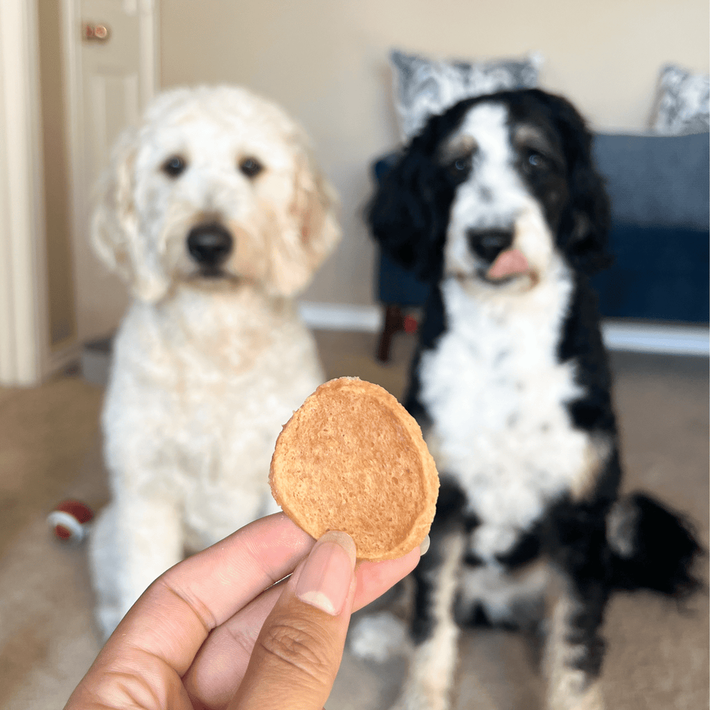 Chicken Chips | All-Natural Single-Ingredient Treats