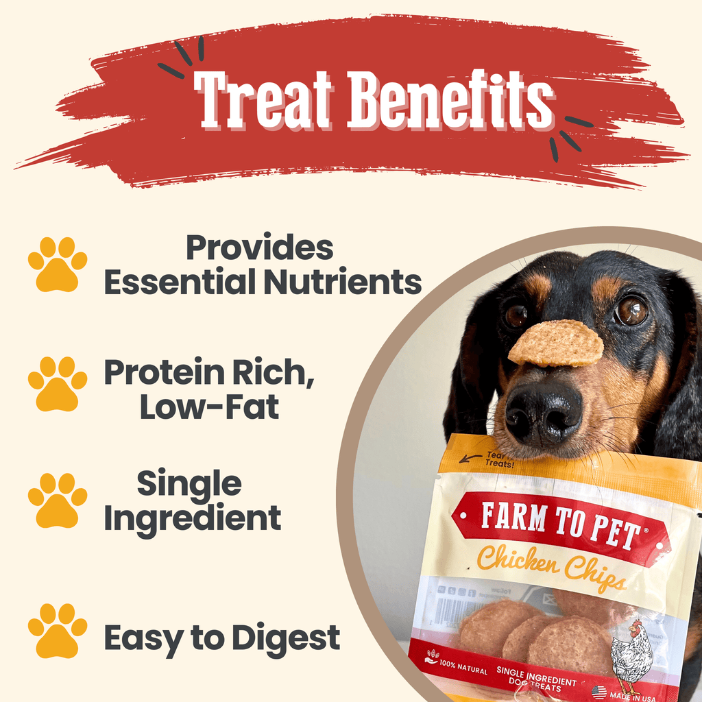 Chicken Chips Snack Pack Bundles | Pet Party Favors & Training Treats