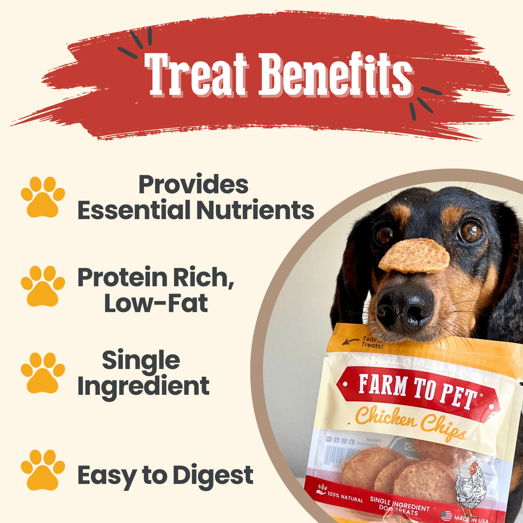 Chicken Chips Snack Pack Bundles | Pet Party Favors & Training Treats