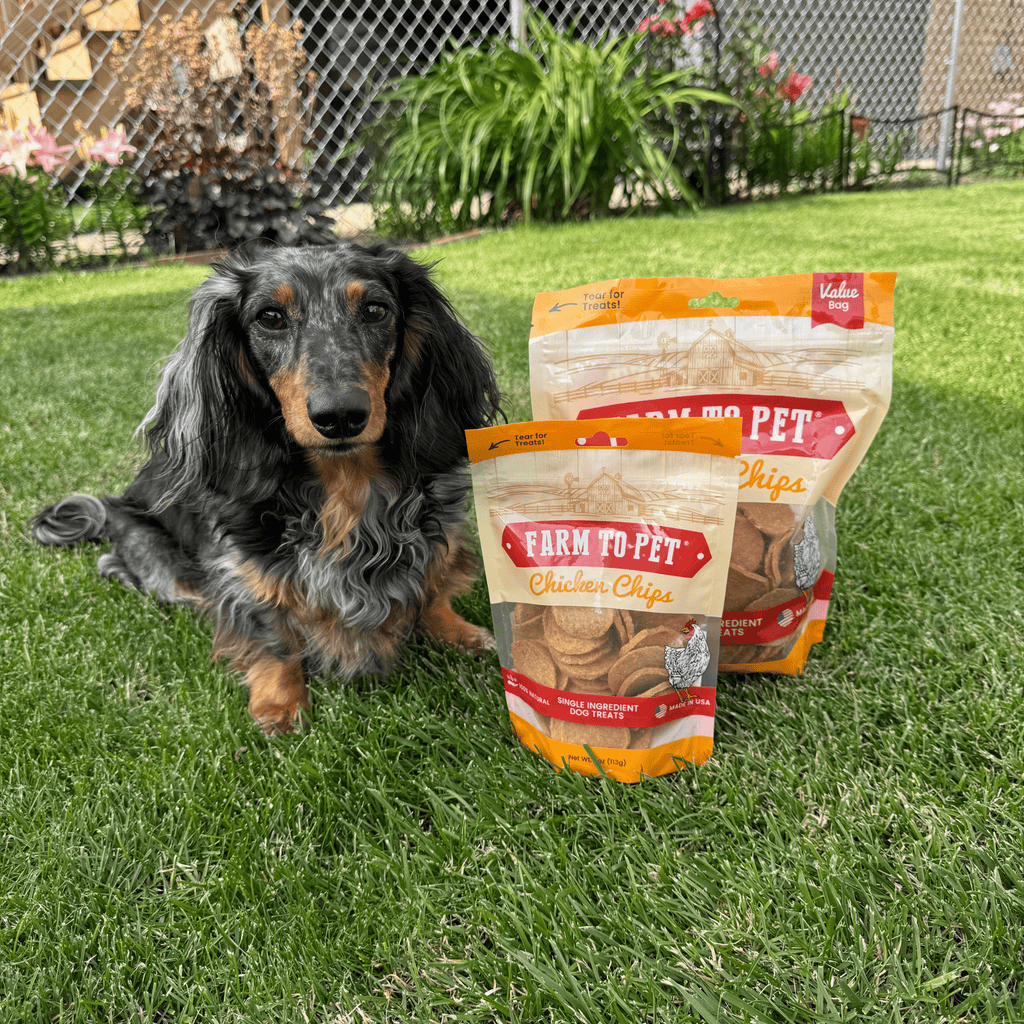 Chicken Chips | All-Natural Single-Ingredient Treats