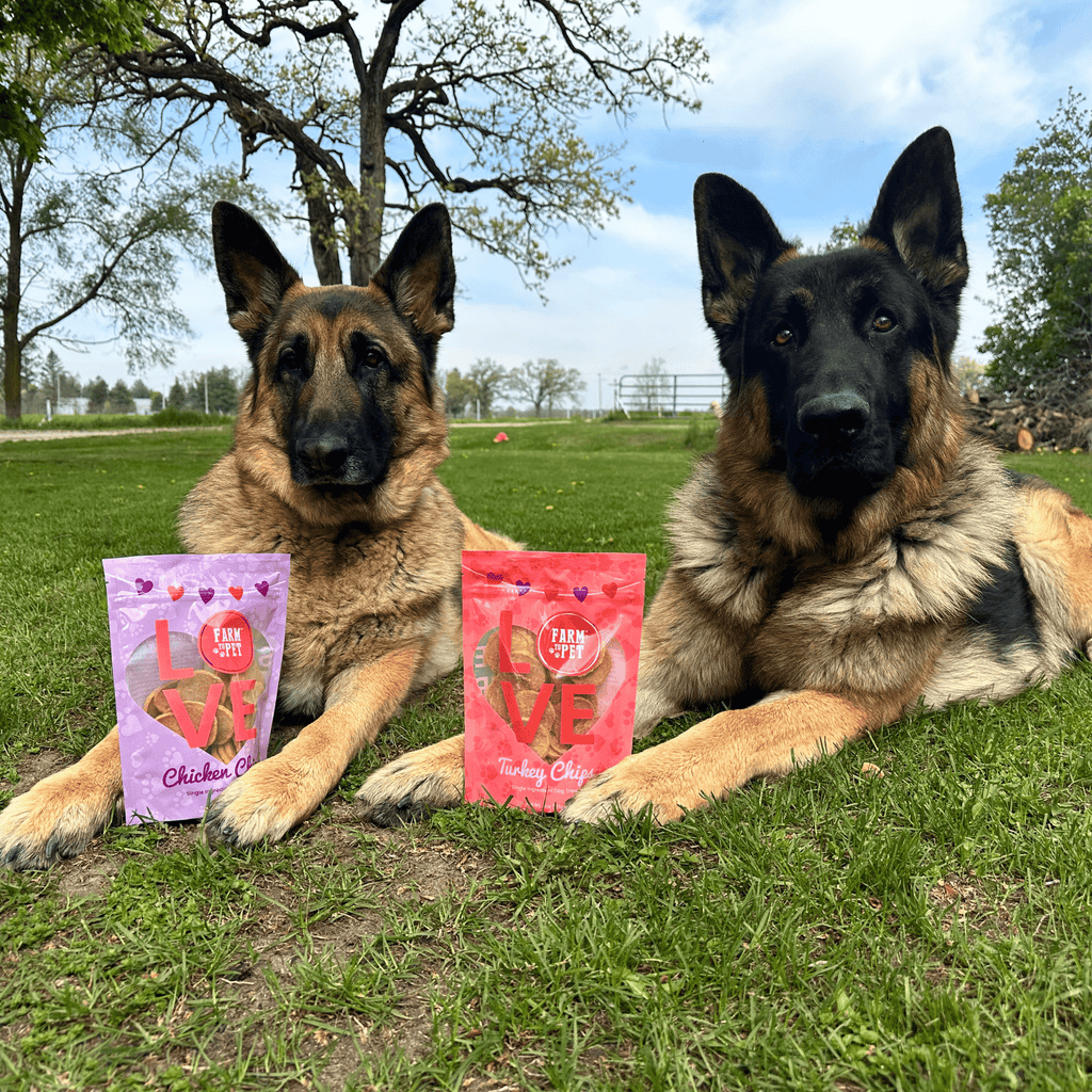 Puppy Love Pet Treat Duo | Poultry Chip Variety Pack
