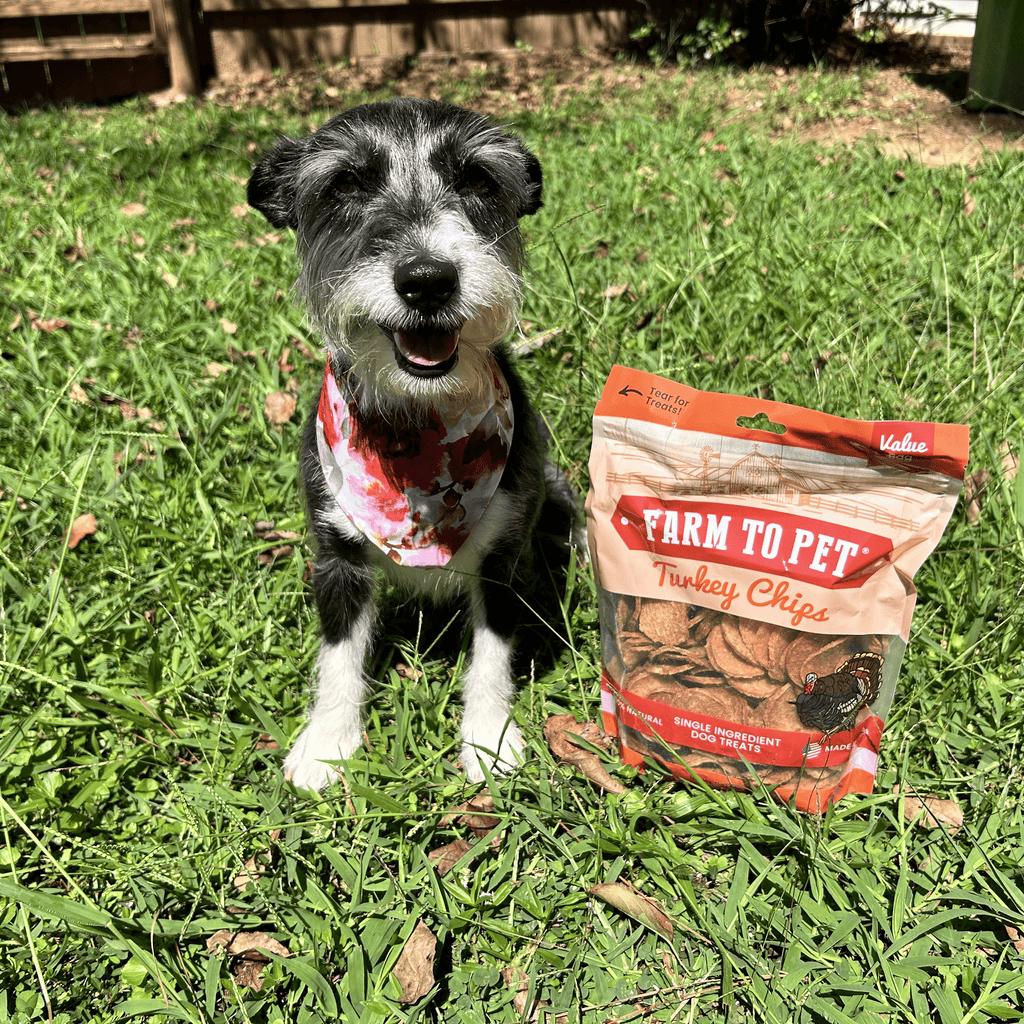 Turkey Chips for Pets | All-Natural Single-Ingredient Healthy Pet Treats