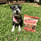 Turkey Chips for Pets | All-Natural Single-Ingredient Healthy Pet Treats