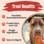 Turkey Chips for Pets | All-Natural Single-Ingredient Healthy Pet Treats