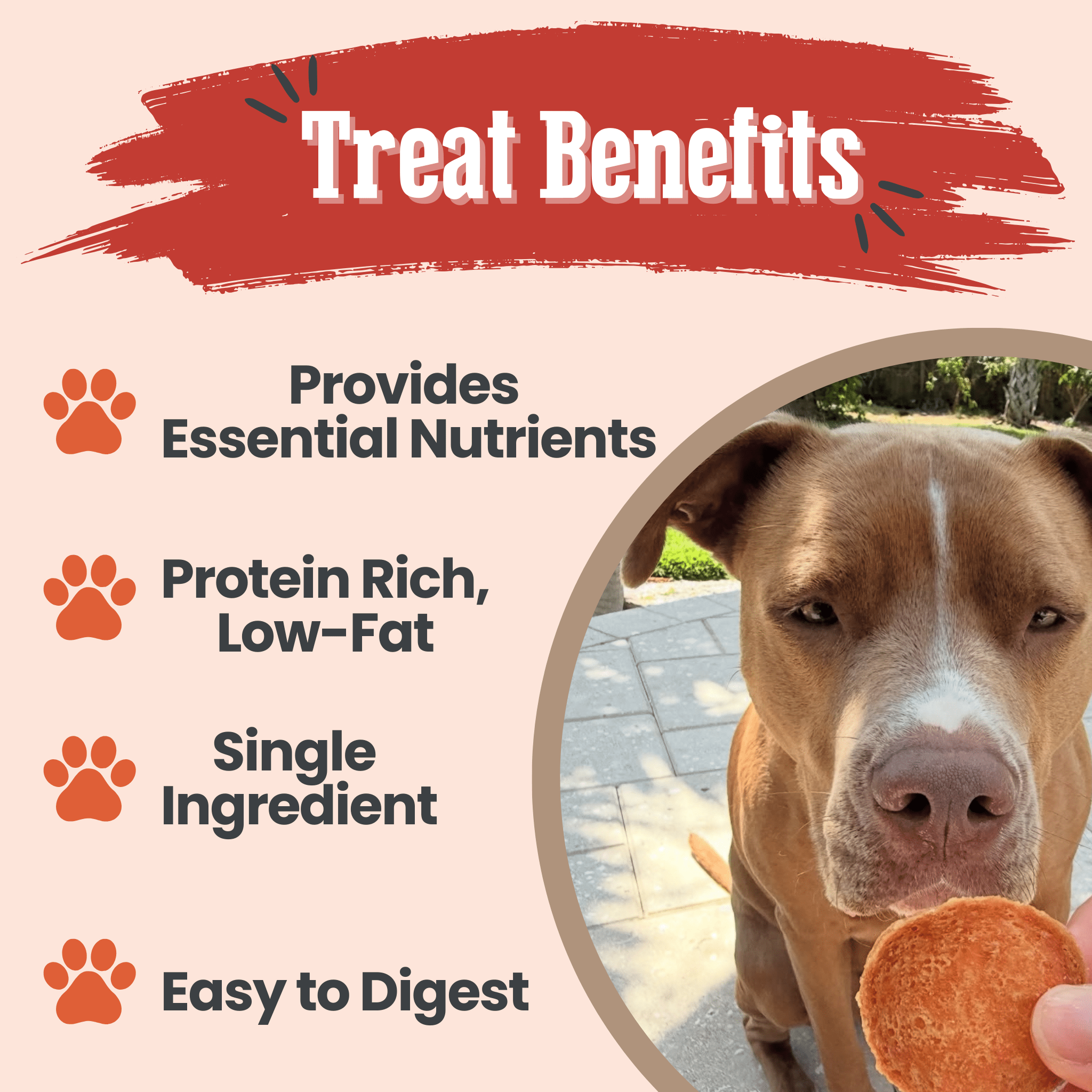 Turkey Chips for Pets | All-Natural Single-Ingredient Healthy Pet Treats
