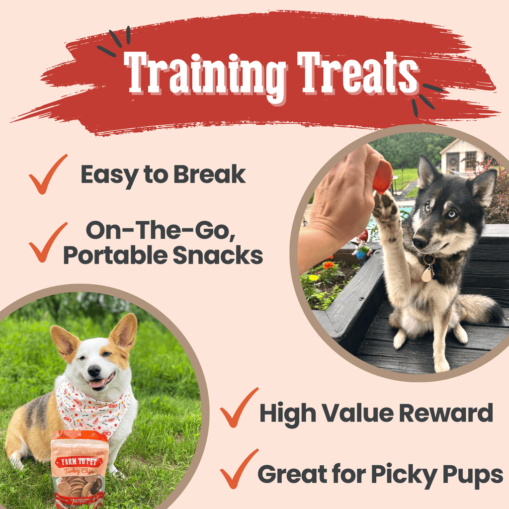 Turkey Chips for Pets | All-Natural Single-Ingredient Healthy Pet Treats
