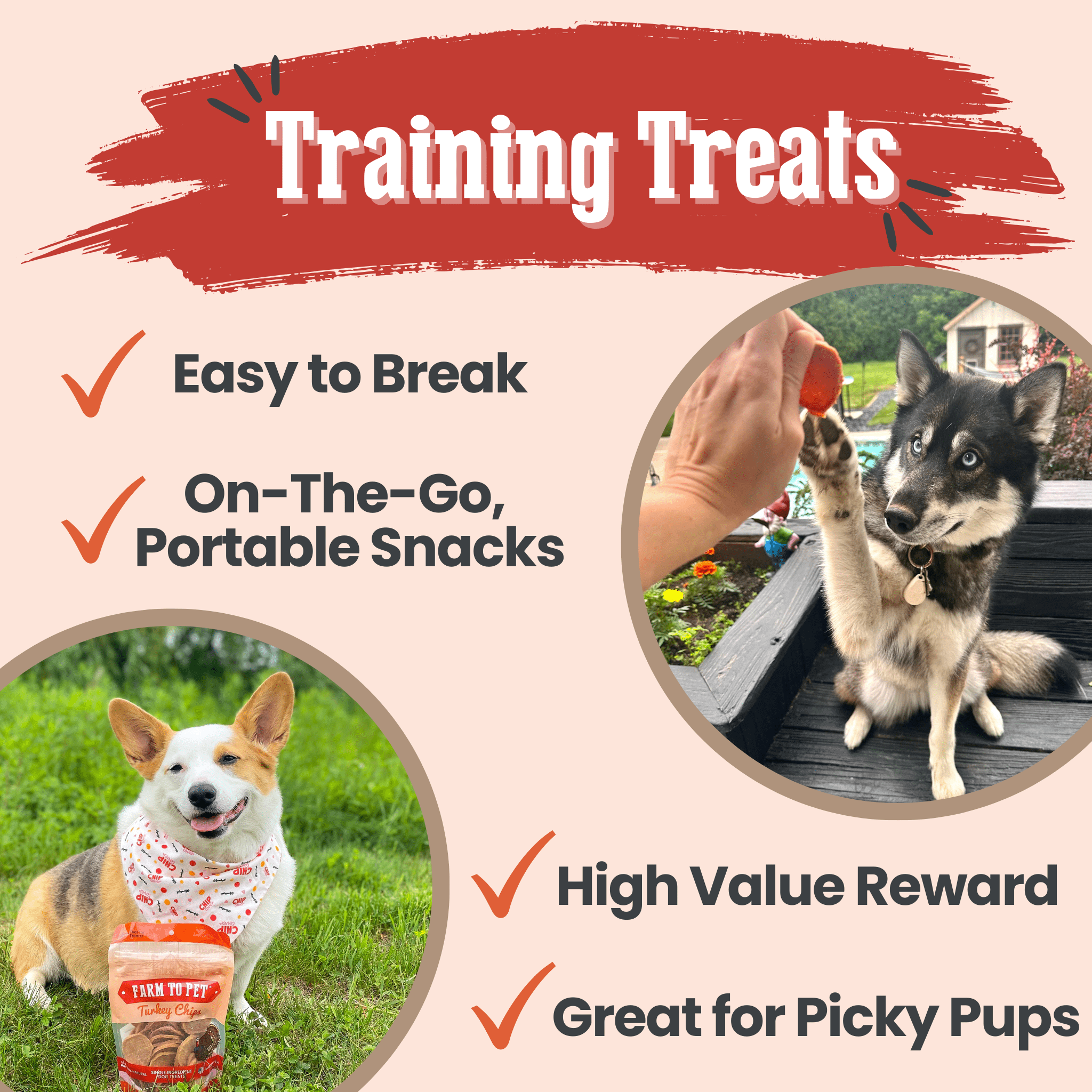 Turkey Chips for Pets | All-Natural Single-Ingredient Healthy Pet Treats