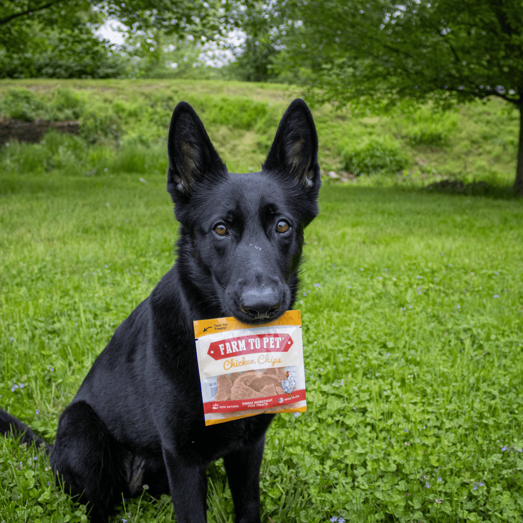 Chicken Chips Snack Pack Bundles | Pet Party Favors & Training Treats