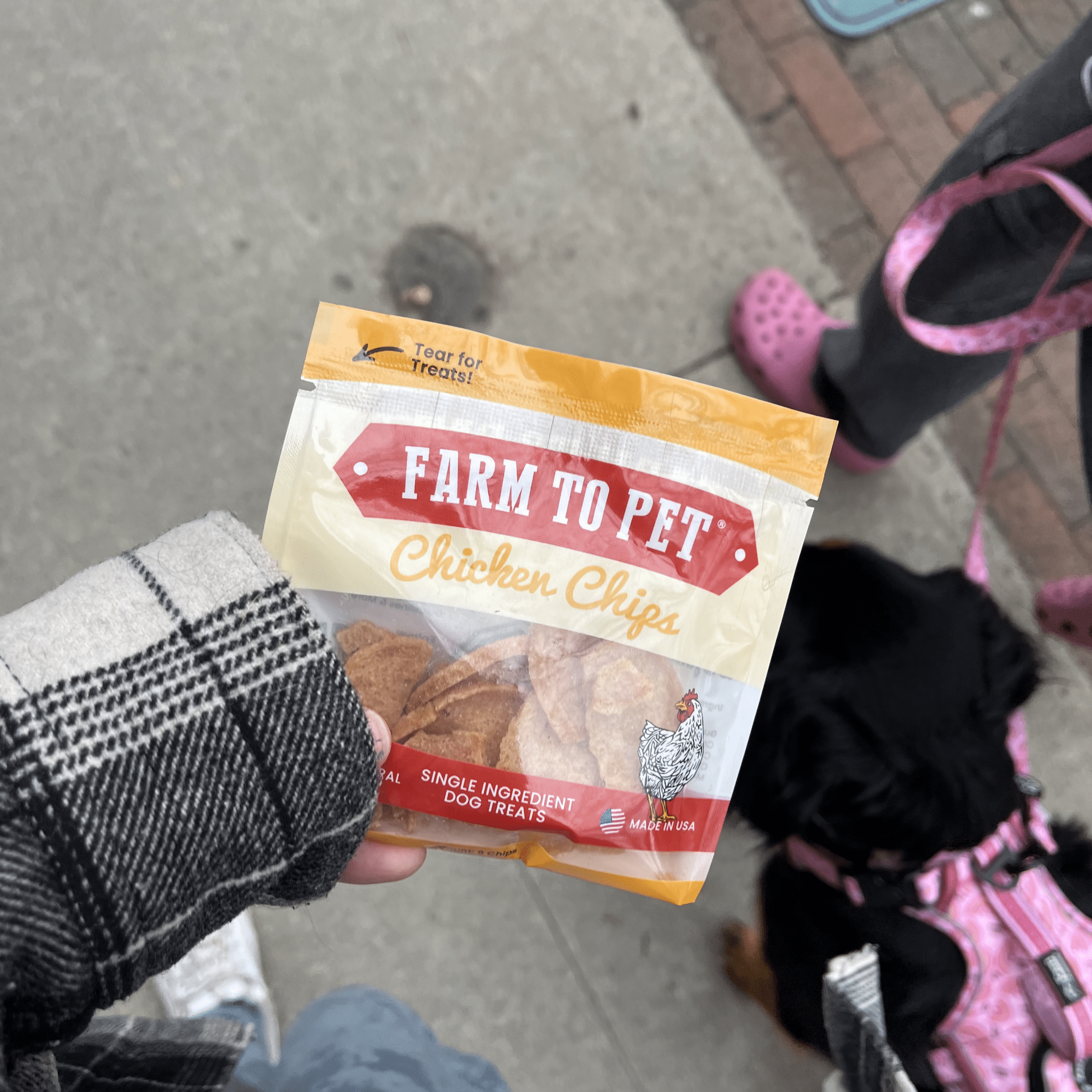 Chicken Chips Snack Pack Bundles | Pet Party Favors & Training Treats