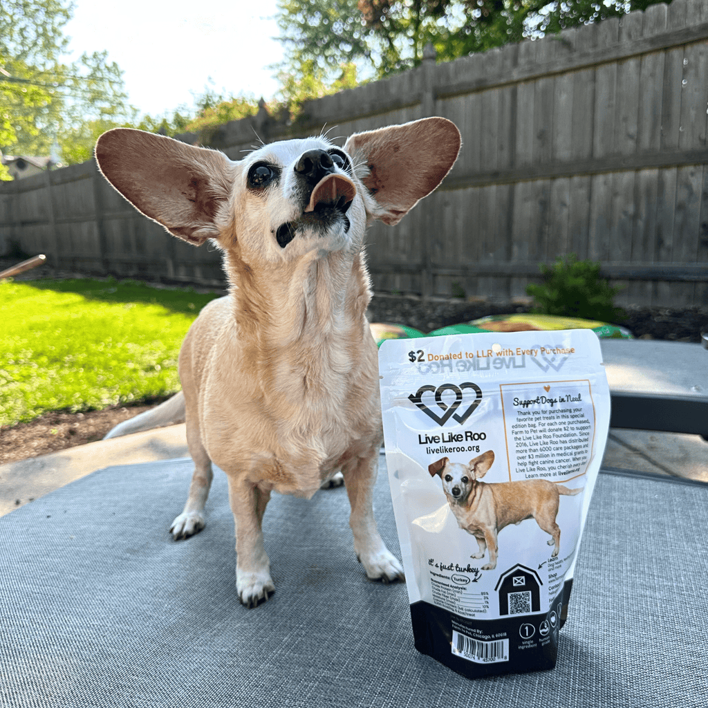 Live Like Roo Turkey Chips | Treats That Give Back