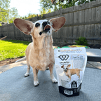 Live Like Roo Turkey Chips | Treats That Give Back