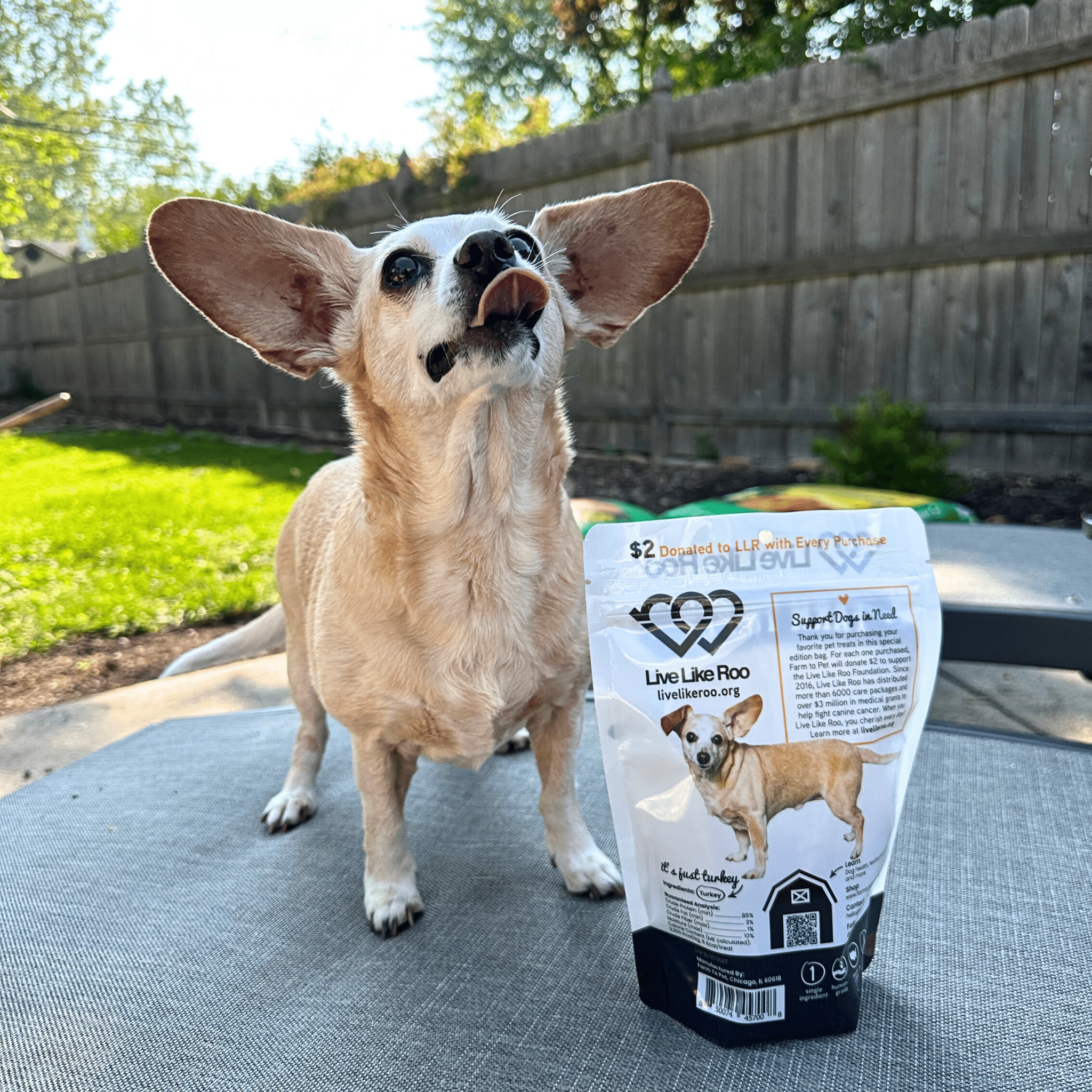 Live Like Roo Turkey Chips | Treats That Give Back