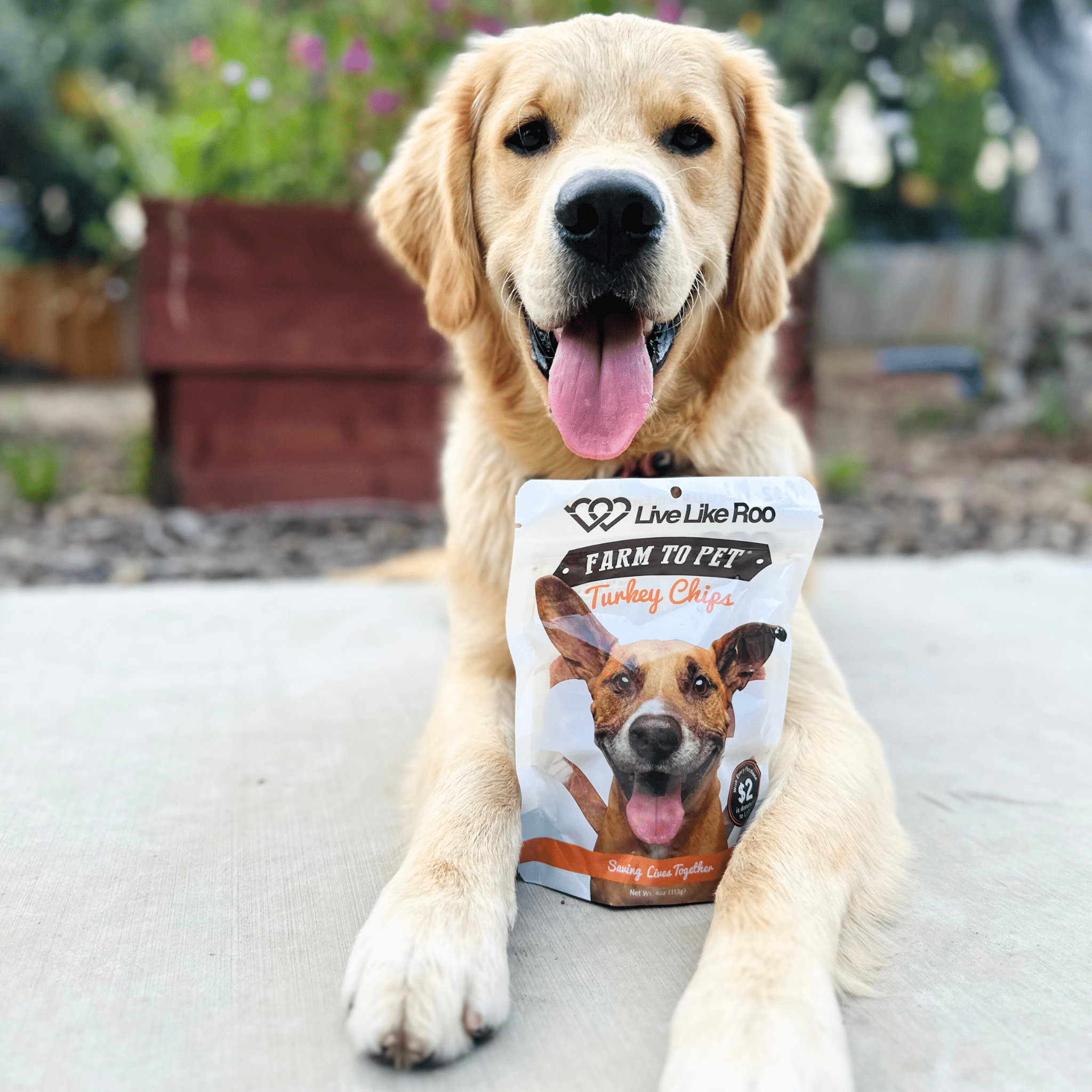 Live Like Roo Turkey Chips | Treats That Give Back