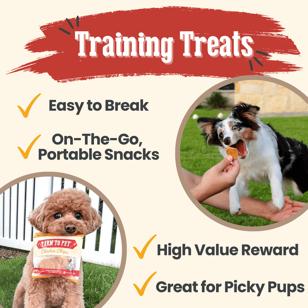 Chicken Chips Snack Pack Bundles | Pet Party Favors & Training Treats