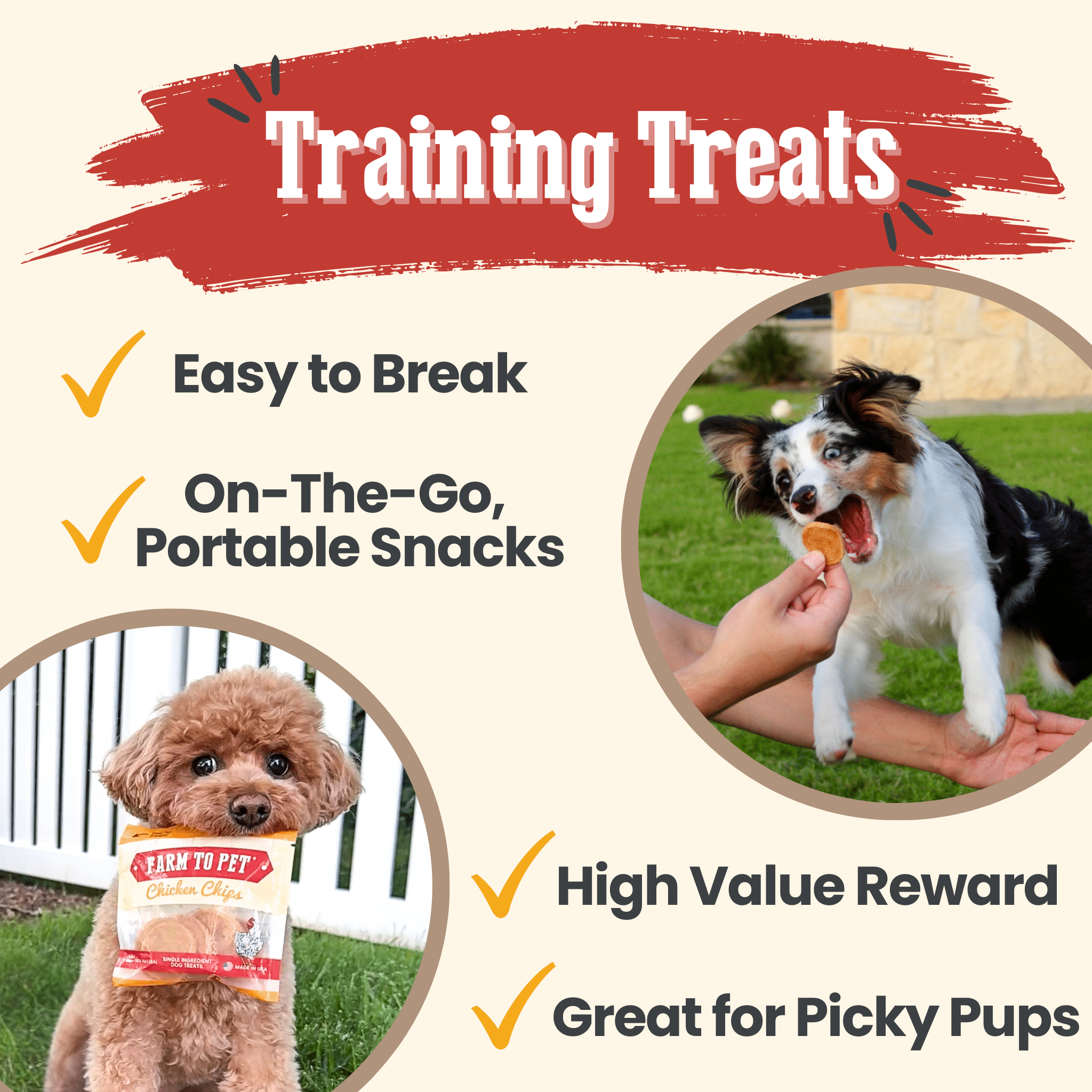 Chicken Chips Snack Pack Bundles | Pet Party Favors & Training Treats