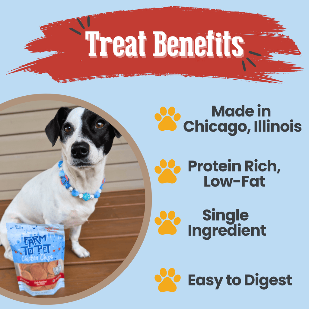 Chicago Chicken Chips | Treats To Celebrate Our Hometown
