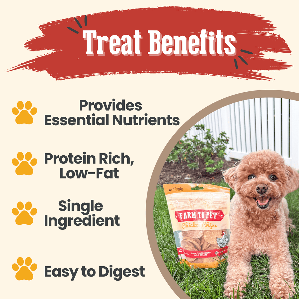 Chicken Chips | All-Natural Single-Ingredient Treats