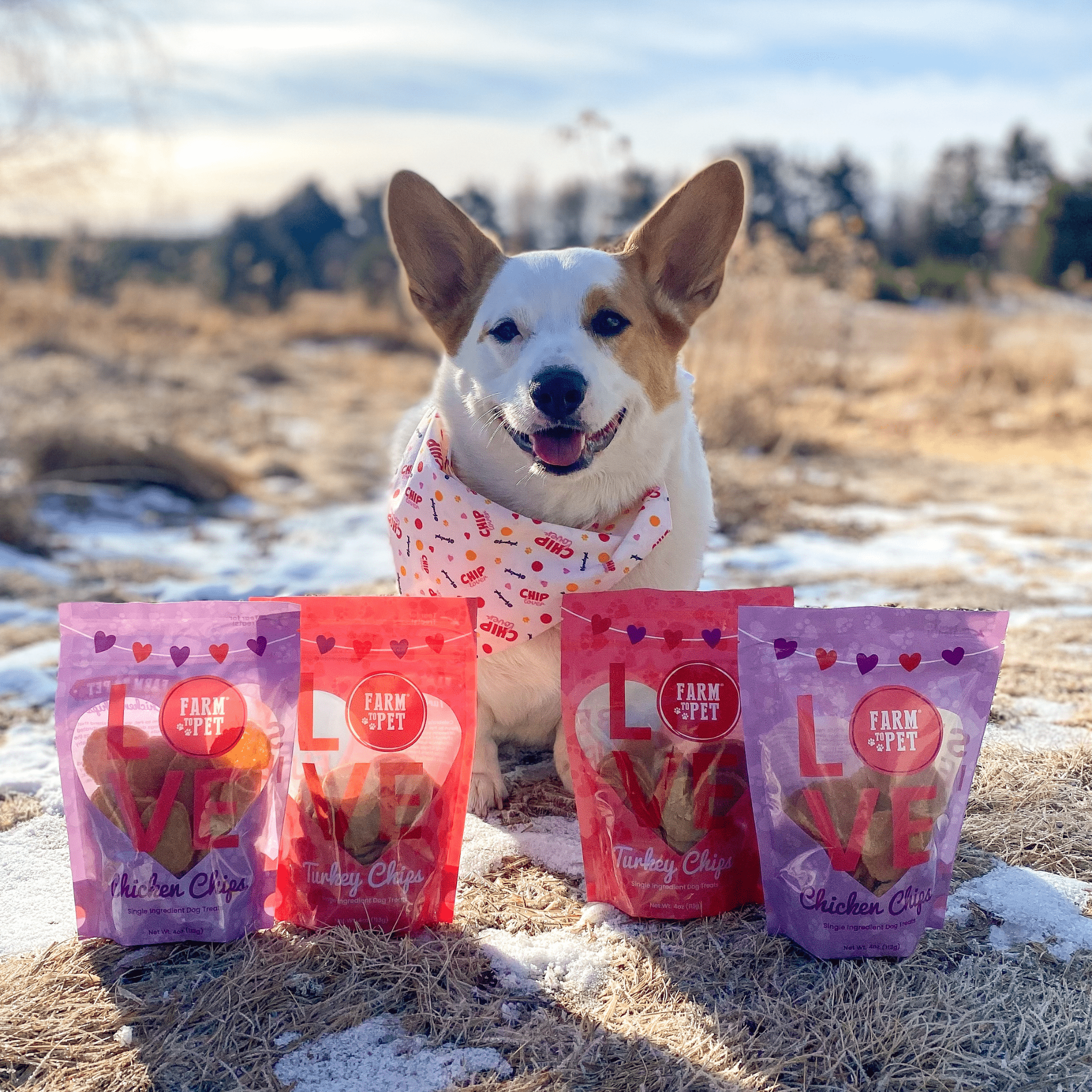 Puppy Love Pet Treat Duo | Poultry Chip Variety Pack