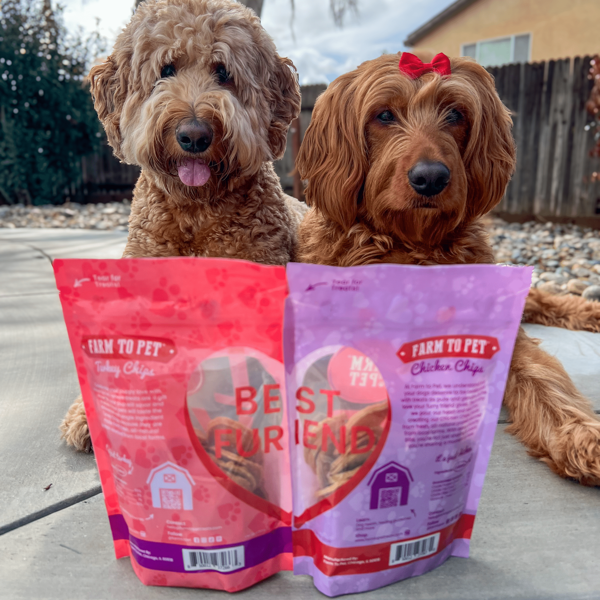 Puppy Love Pet Treat Duo | Poultry Chip Variety Pack