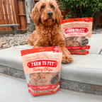 Turkey Chips for Pets | All-Natural Single-Ingredient Healthy Pet Treats